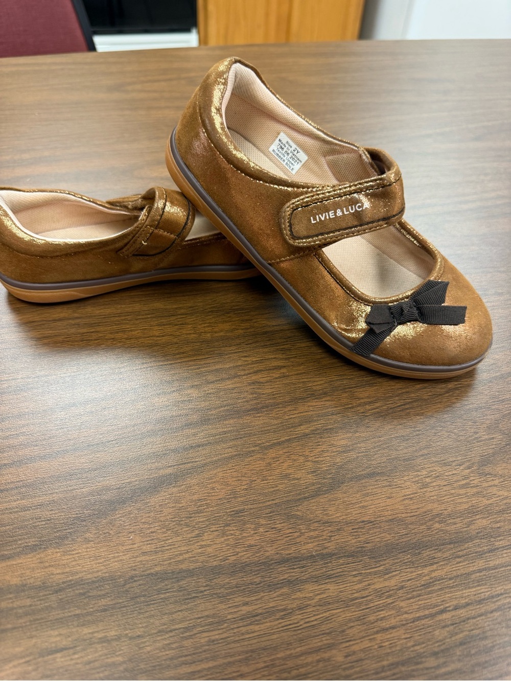 Livie & Luca Cinnamon Shimmer River Eco Mary Jane Shoes Size 2Y EUC